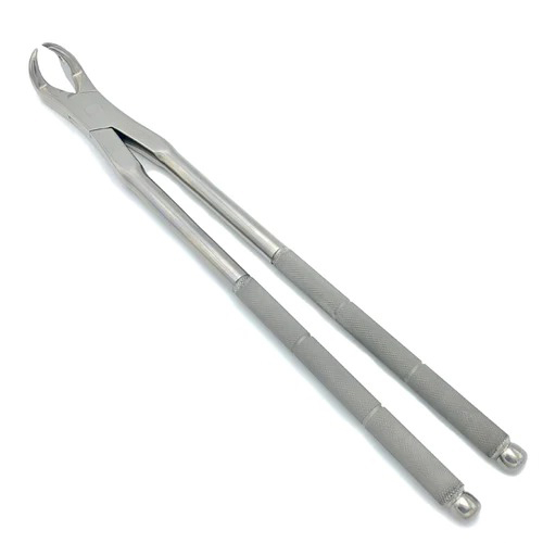 THREE ROOT FORCEPS OFF SIDE 19(48CM)